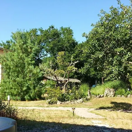 Acacias 2*
